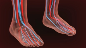 Recognizing Poor Circulation in the Feet